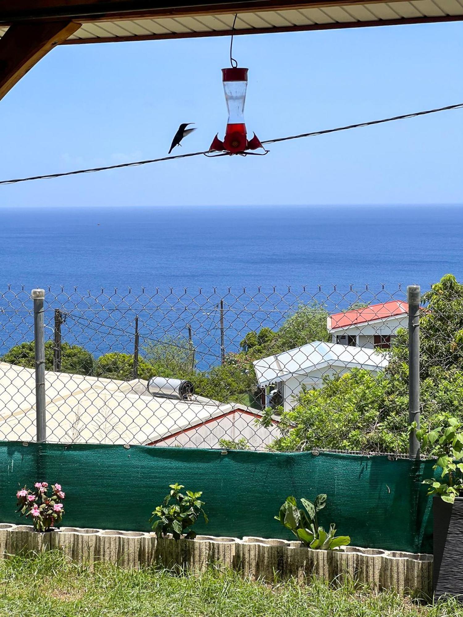 Vila Casa Francois Le Carbet Exteriér fotografie